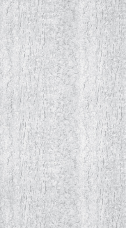 TS - 101 LEMI