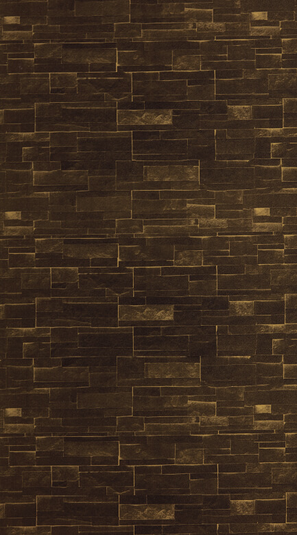 TS - 205