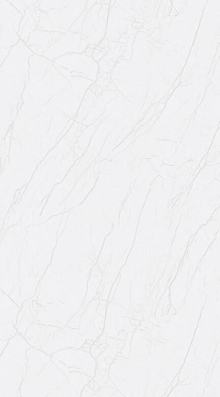 TS - 3009 LEMI