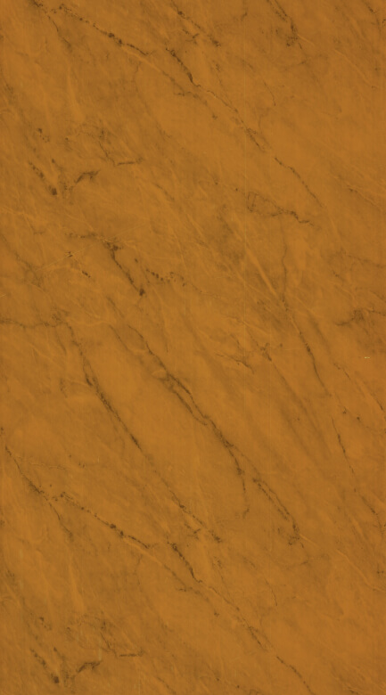 TS - 4002 LEMI