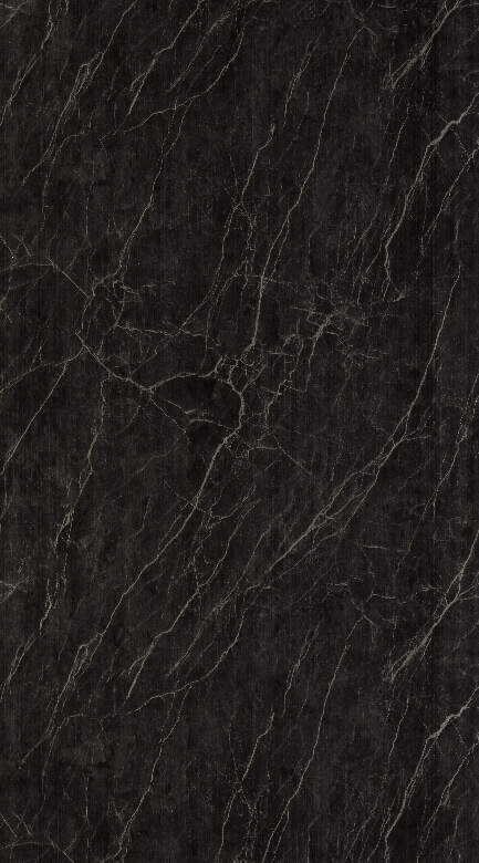 TS - 6002 LEMI