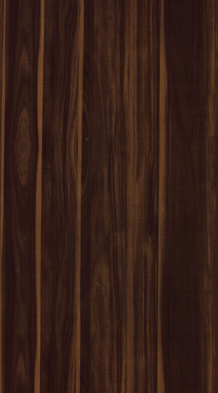 TSP - 504